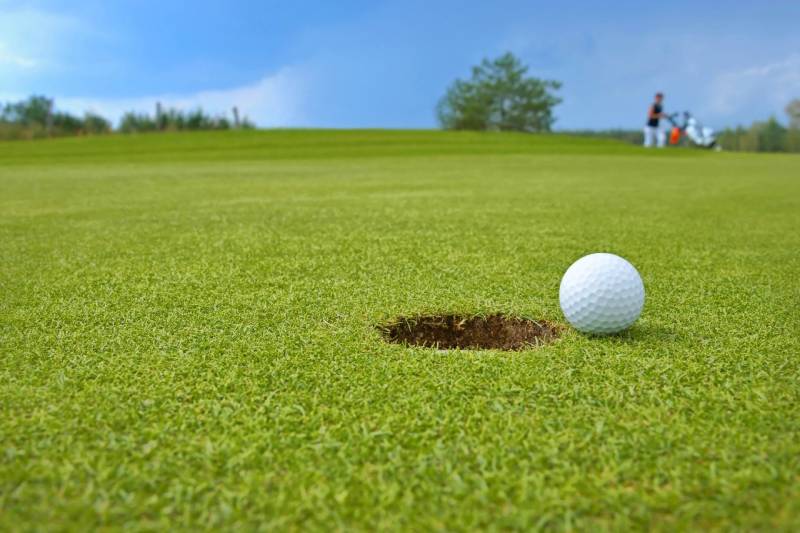 Alabama Pest Control License Points Ornamental and Turf