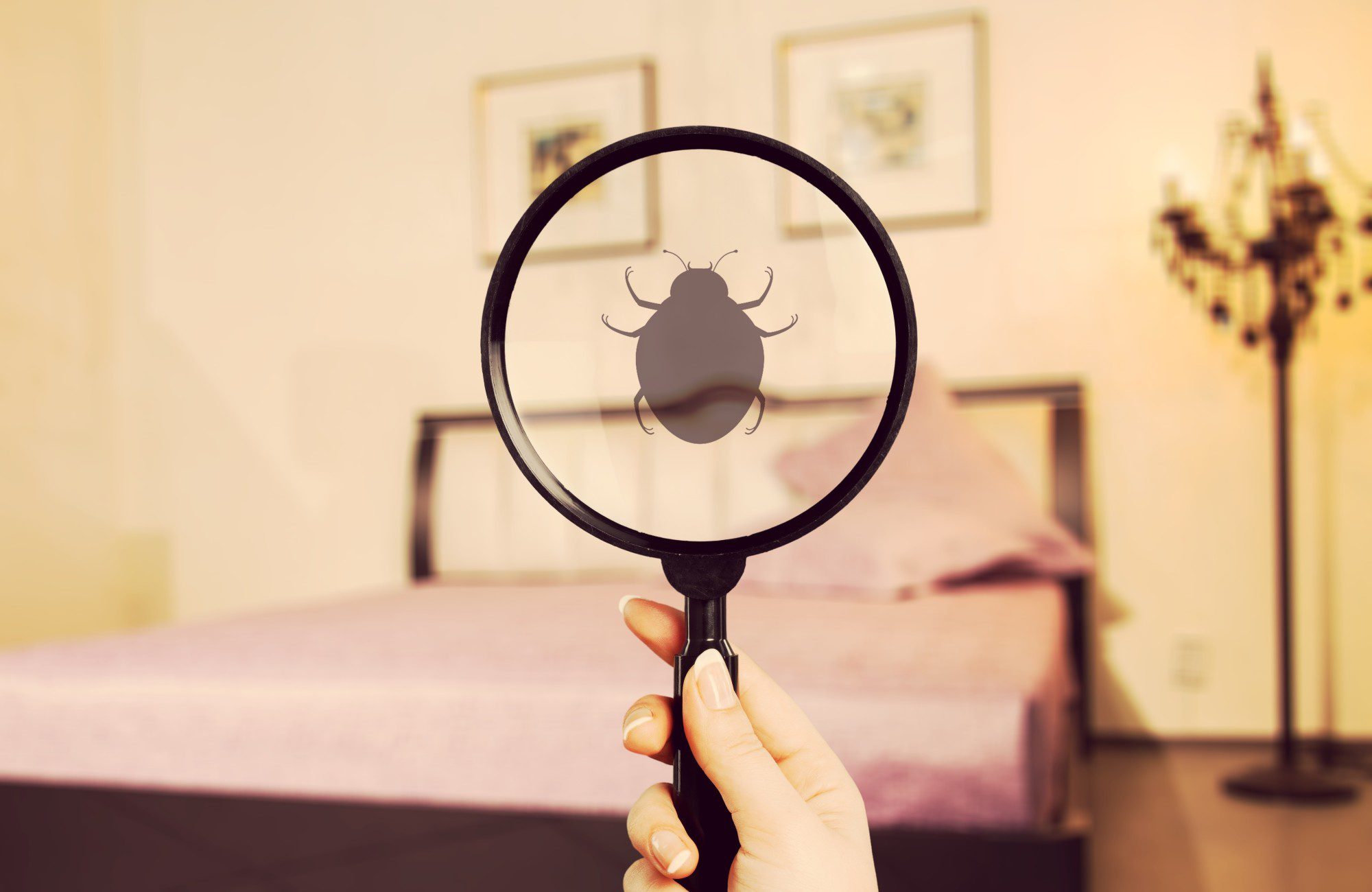 Bed Bugs or Fleas What's Eating You? Pest Extinct