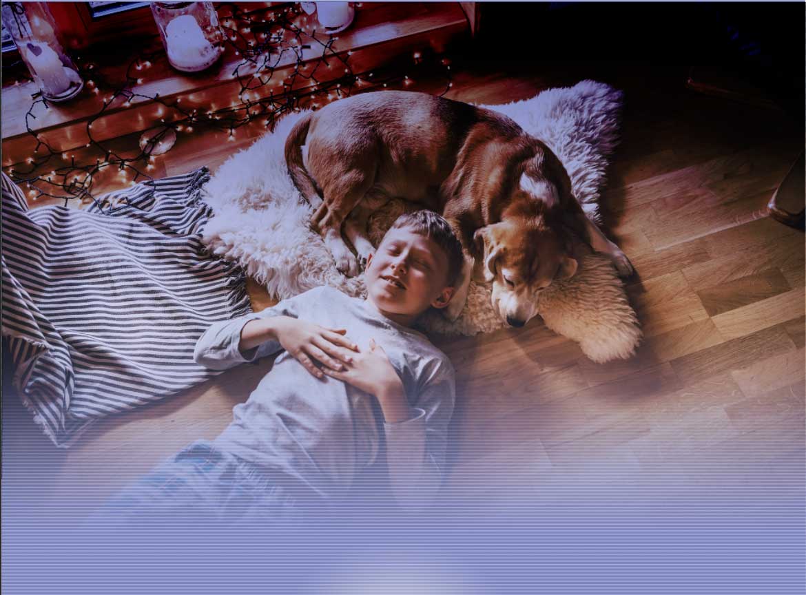 Budget Pest Control Denver/Centennial Pest Control Services