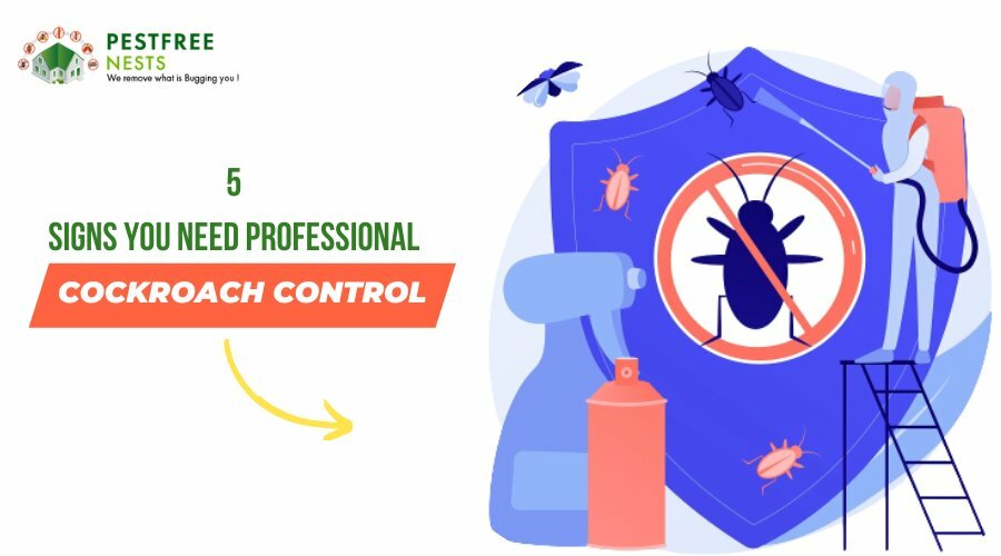 5 Signs You Need Professional Cockroach Control Brighton