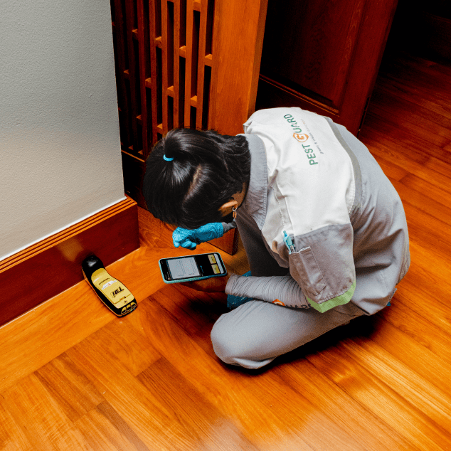 Termite Detection System(TDS) Termatrac T3i https//pestguardgroup.in