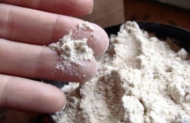 What Kills Bed Bugs What Works and What Doesn't Pest Hacks