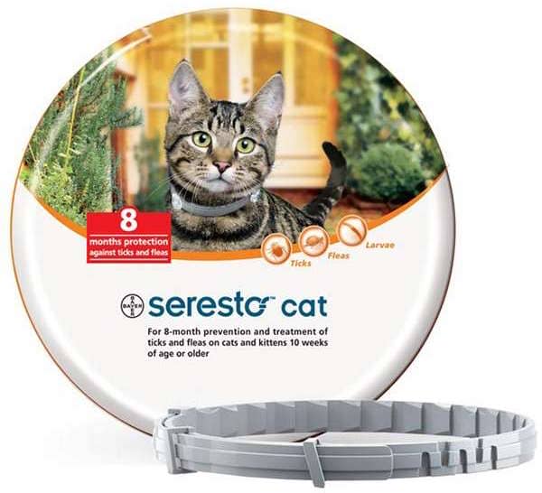 Best Flea Treatment for Cats Top 9 Options Reviewed and Compared