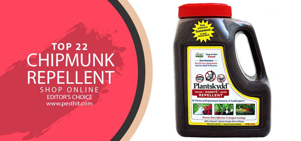 Best Chipmunk Repellent | Top 22 Chipmunk Repellents