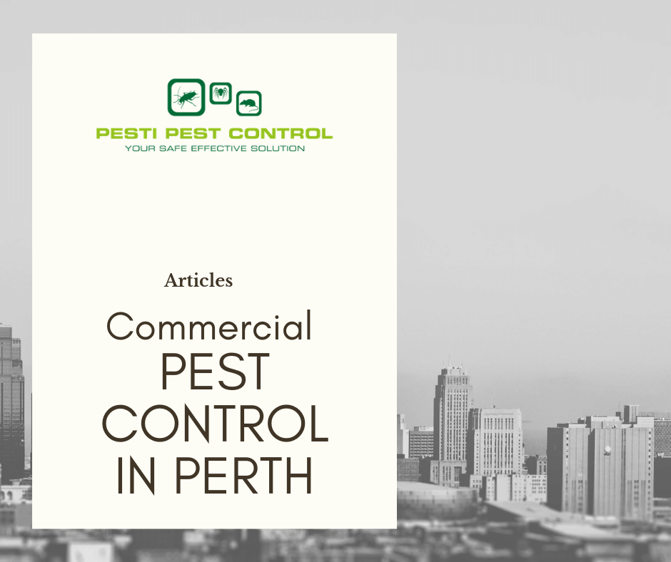 Commercial Pest Control in Perth Pesti Pest Control Perth Services