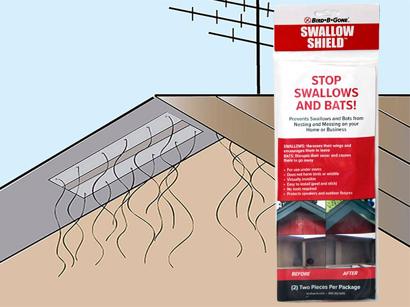 3 Best Bat Repellent Products [*2023 UPDATED*] Expert Review