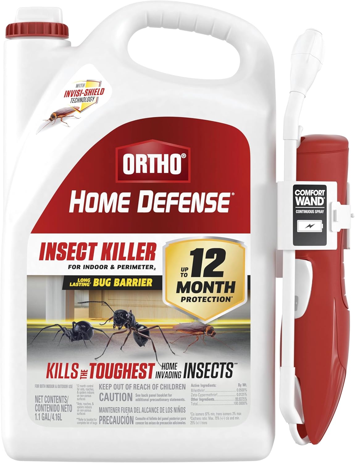 How to Get Rid of Palmetto Bugs Complete Guide to Identification and