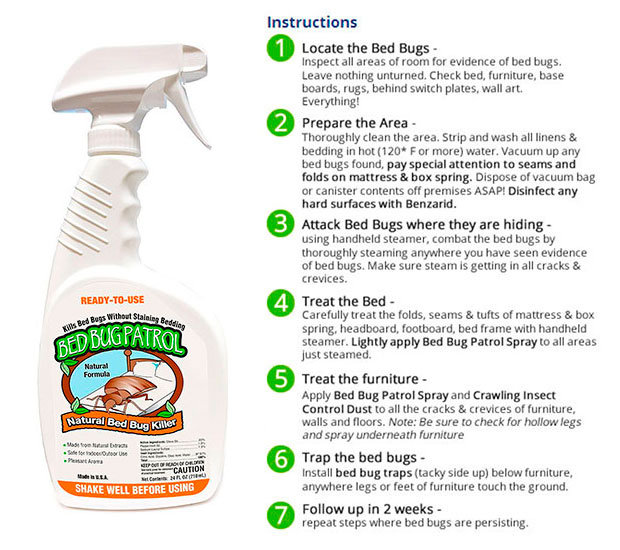 3 Best Insecticide for Bed Bugs that Actually Work in 2024 Expert Review