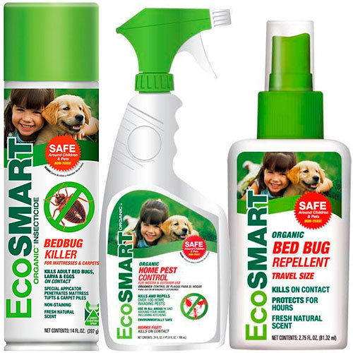 How to Kill Bed Bugs Efficient Ways to Defend Your Home against Bed Bugs