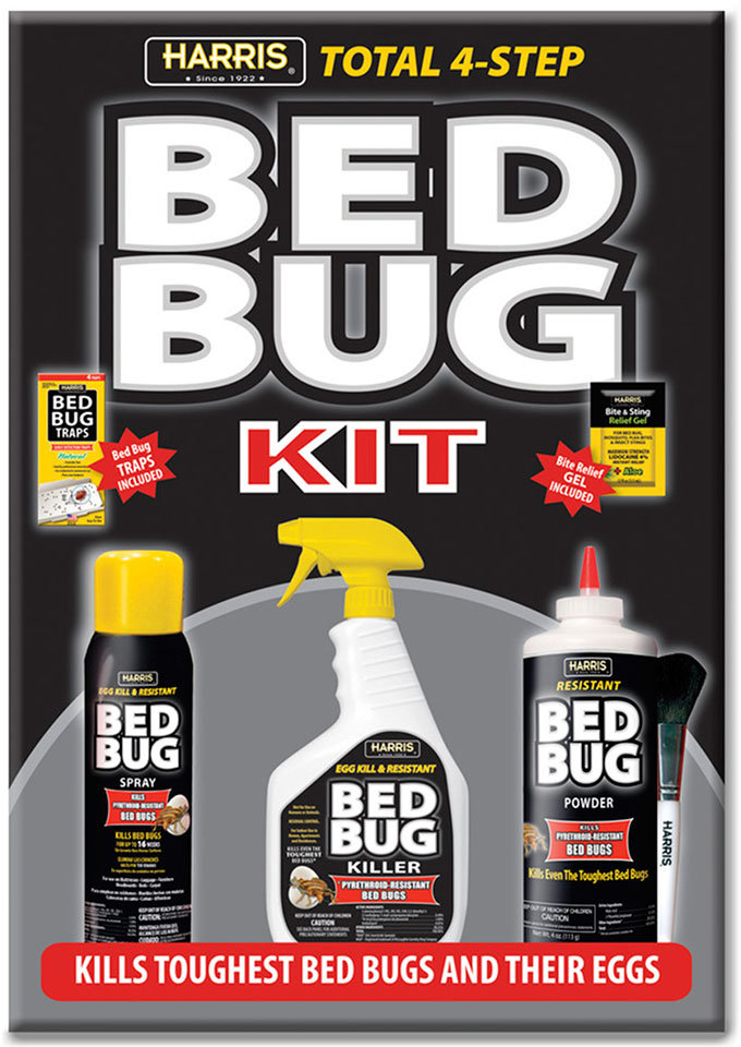 How to Kill Bed Bugs Efficient Ways to Defend Your Home against Bed Bugs