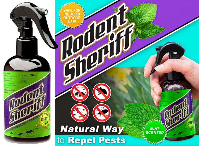 Is It Really True? Does Peppermint Oil Get Rid of Mice?