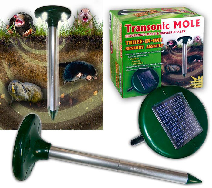 Voles Causing Problems in Your Yard? Choose the Right Vole Repellent
