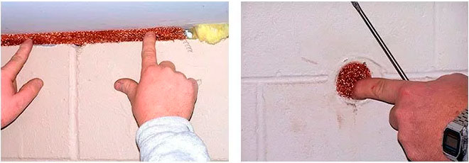 Best Steel Wool for Mice - PestControlFacts.com