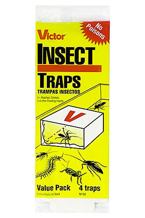 How to Get Rid of House Centipedes: You Have Several Options