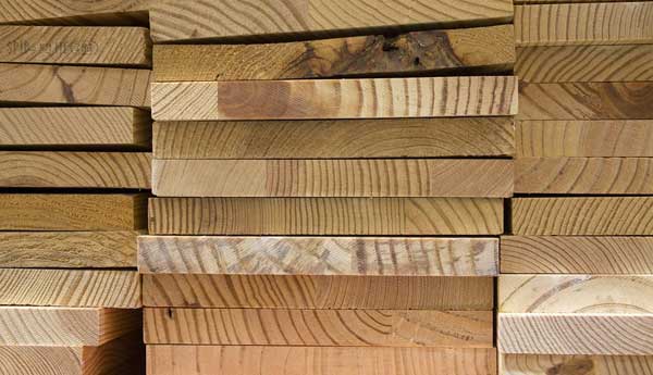 Termite Resistant Wood 101 and Wood Species to Avoid