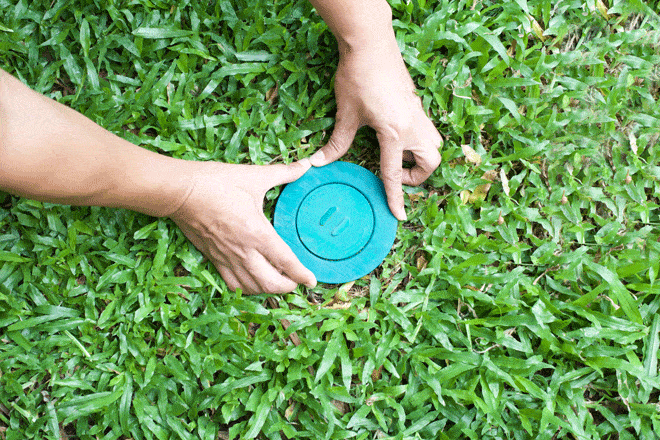 How to Get Rid of Termites The Ultimate Guide