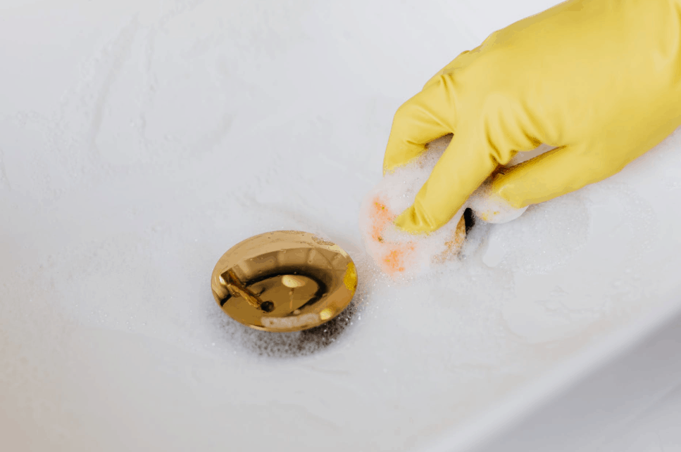 How to Get Rid of Drain Flies 4 Simple Hacks Pestkilled