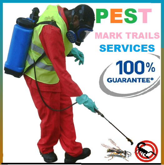 fumigation companies in kenya