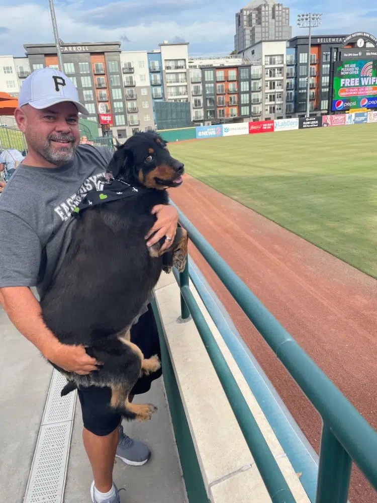 Greensboro Pest Control Service, WinstonSalem Exterminator