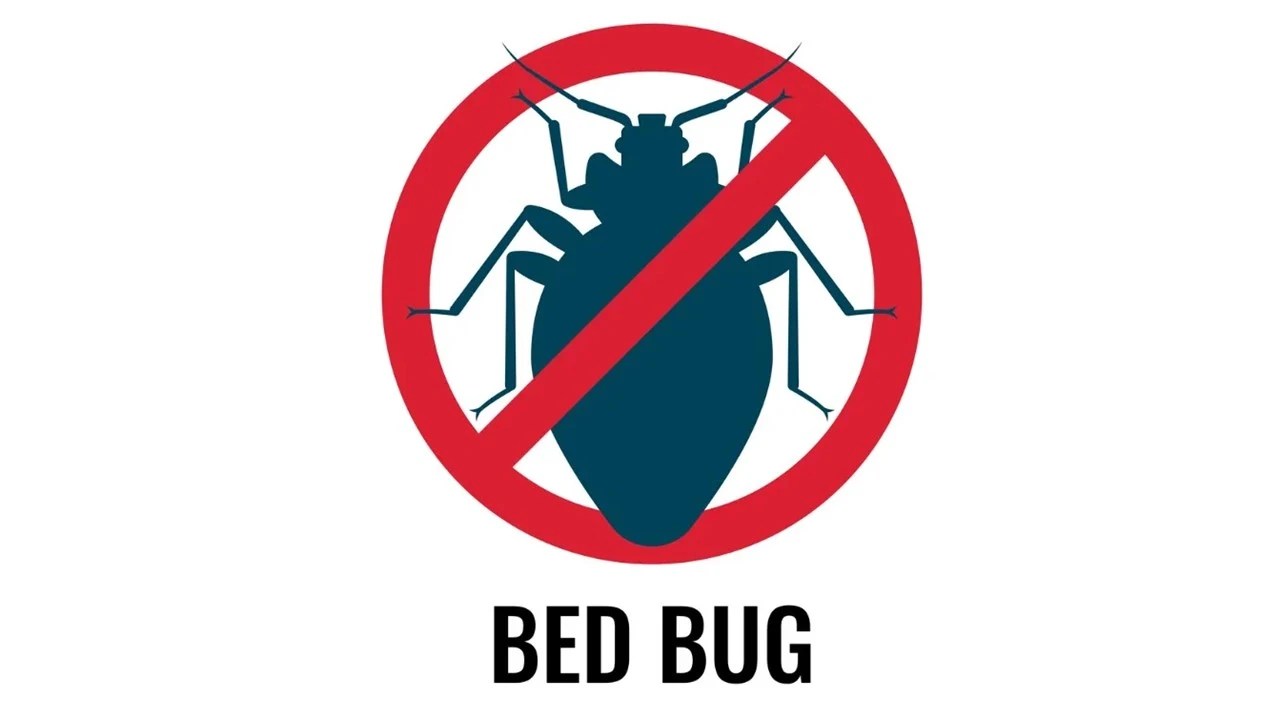 Permethrin for Bed Bugs Does Permethrin Kill Bed Bugs? • Pest