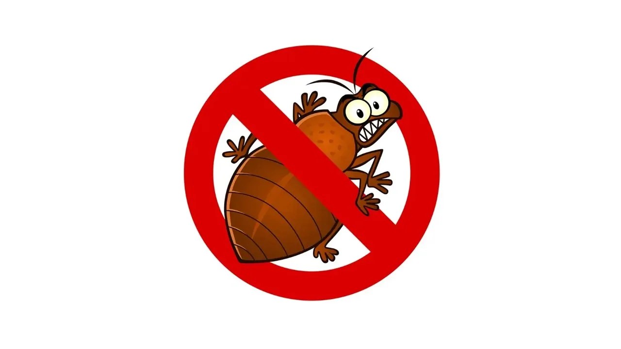 Can you Get Rid of Bed Bugs with Bleach? • Pest Information and