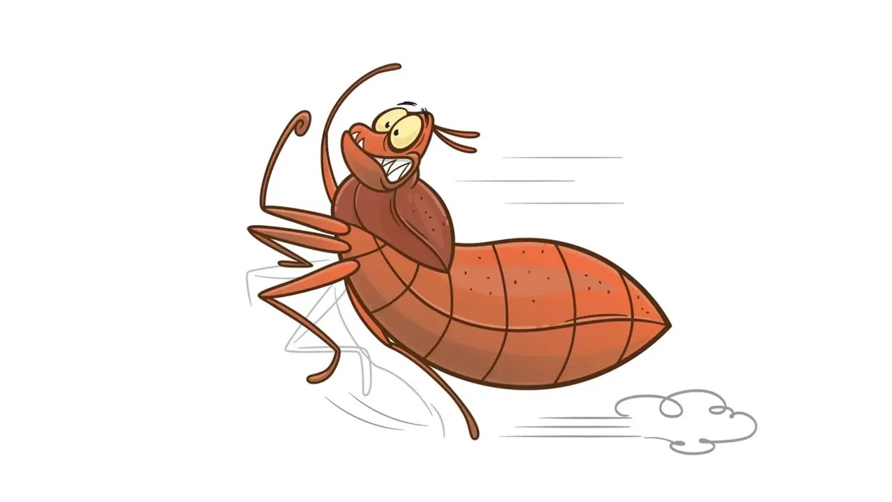 Homemade Bed Bug Killers Spray Alcohol & Vinegar • Pest Information