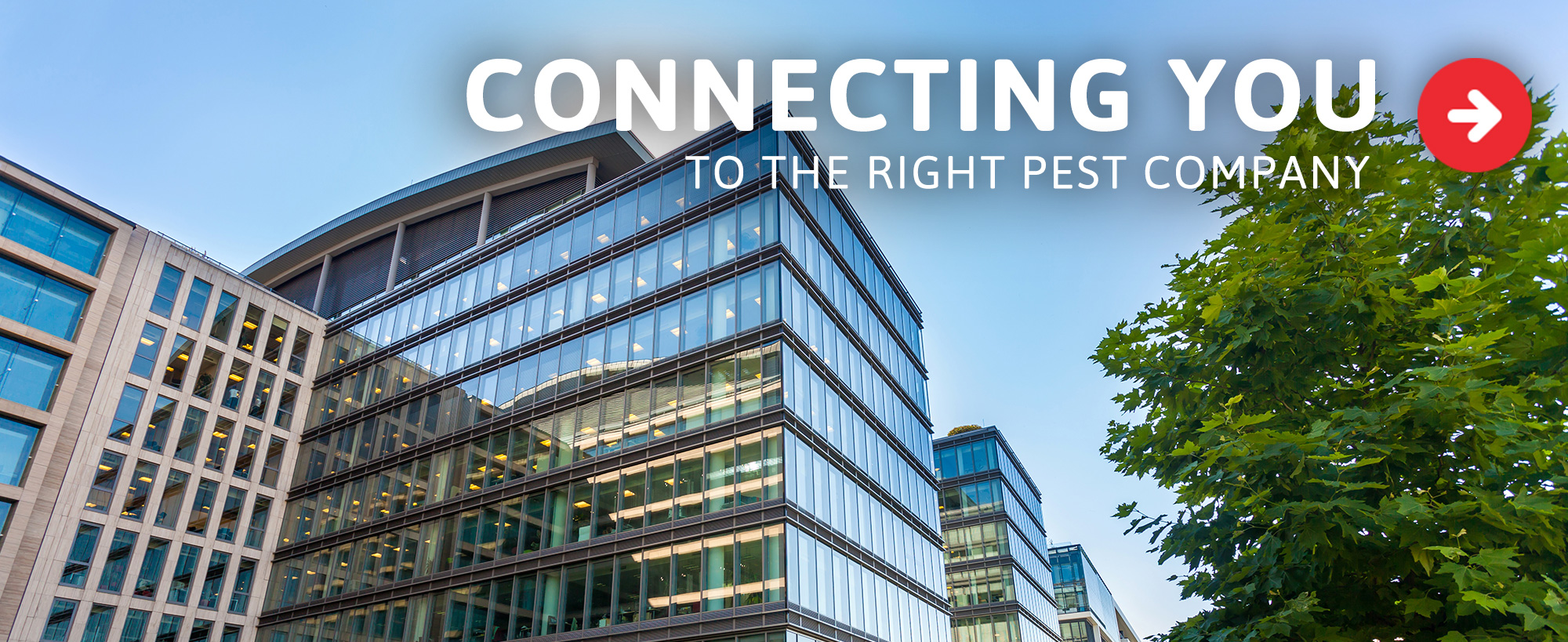 Pest Management NC Pest Control Pest Services