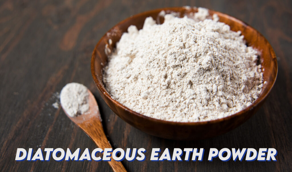 Get Rid of Bed Bugs Permanently Effective Home Remedies and Tips for a