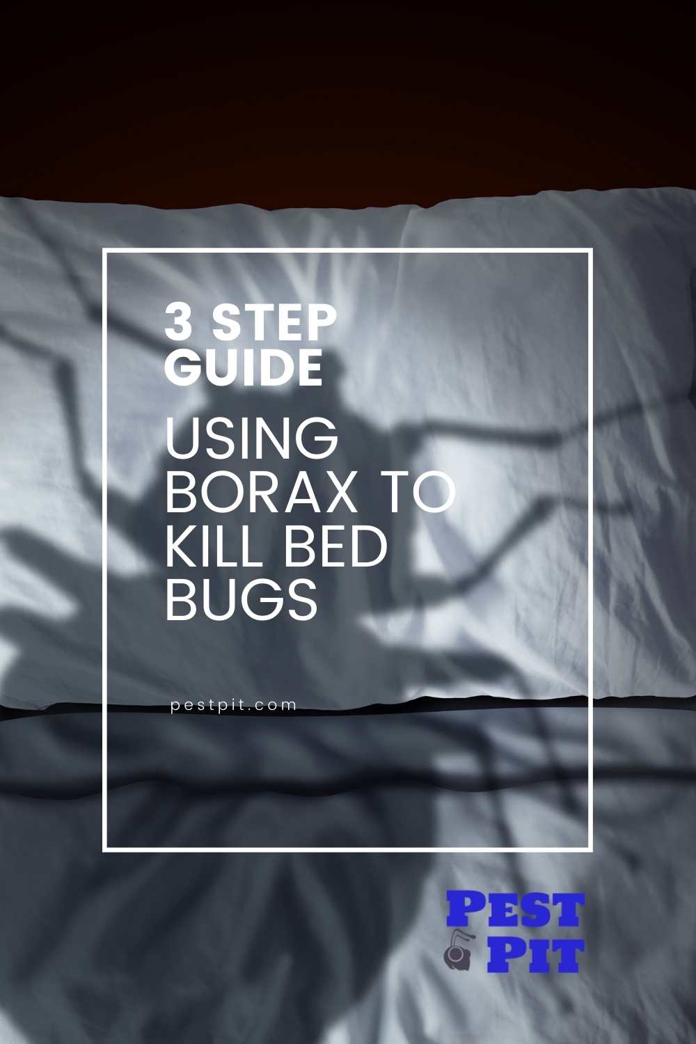 3 Step Guide Using Borax To Kill Bed Bugs Pest Pit
