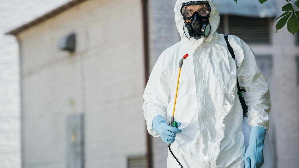 Killing Maggots With Vinegar A Guide Pest Pit