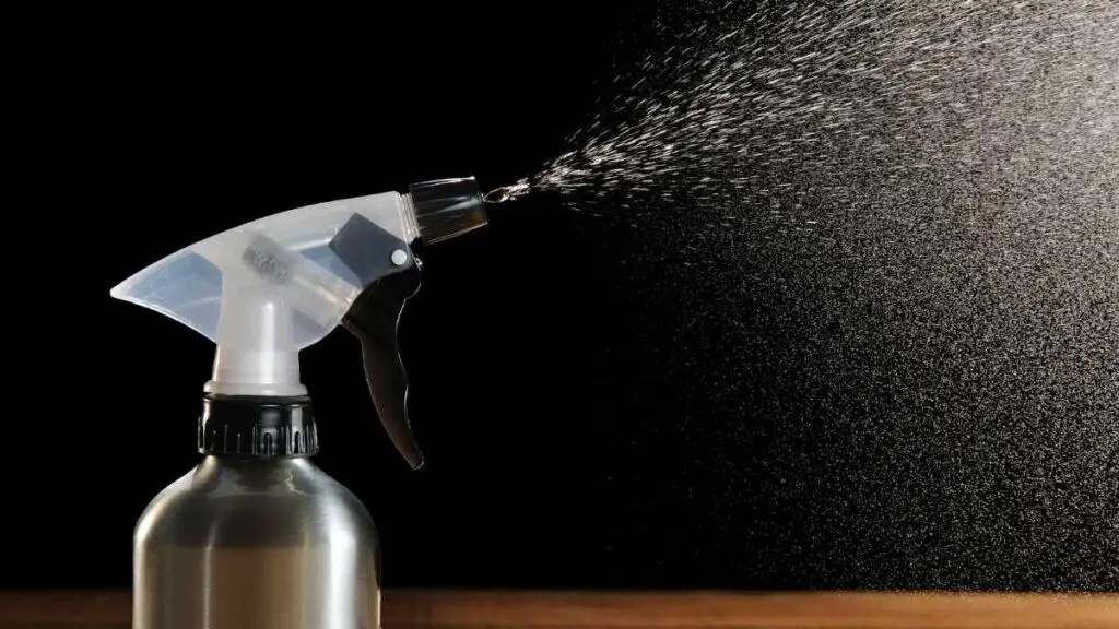 Top Reasons Why You Have Maggots in Your House Pest Pit