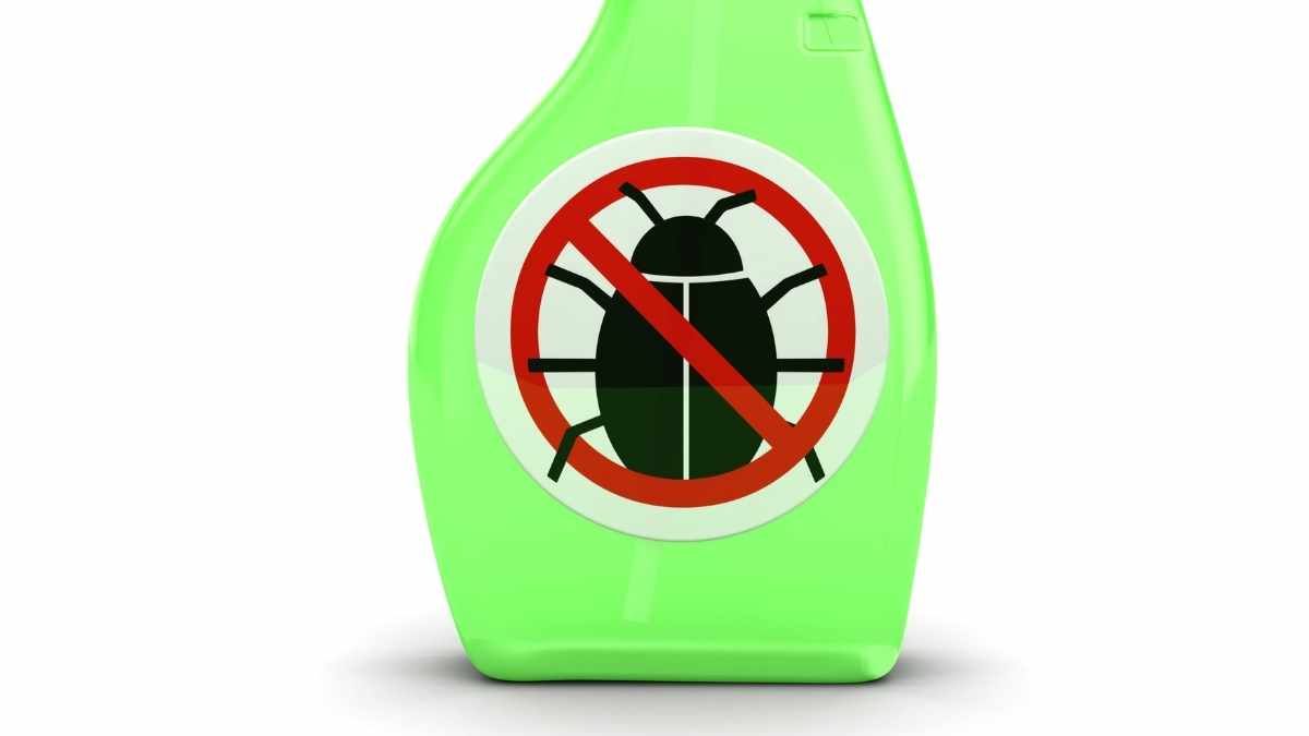 Homemade Spray for Bed Bugs Our Guide Pest Pit
