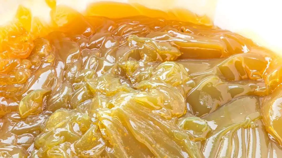 What Food Attracts Cockroaches? Our Guide Pest Pit