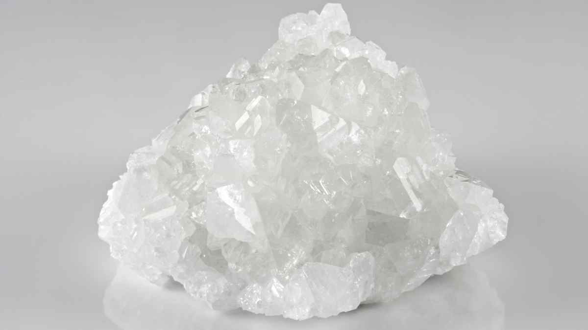 Borax The Miracle Cleaner and Maggot Killer! Pest Pit