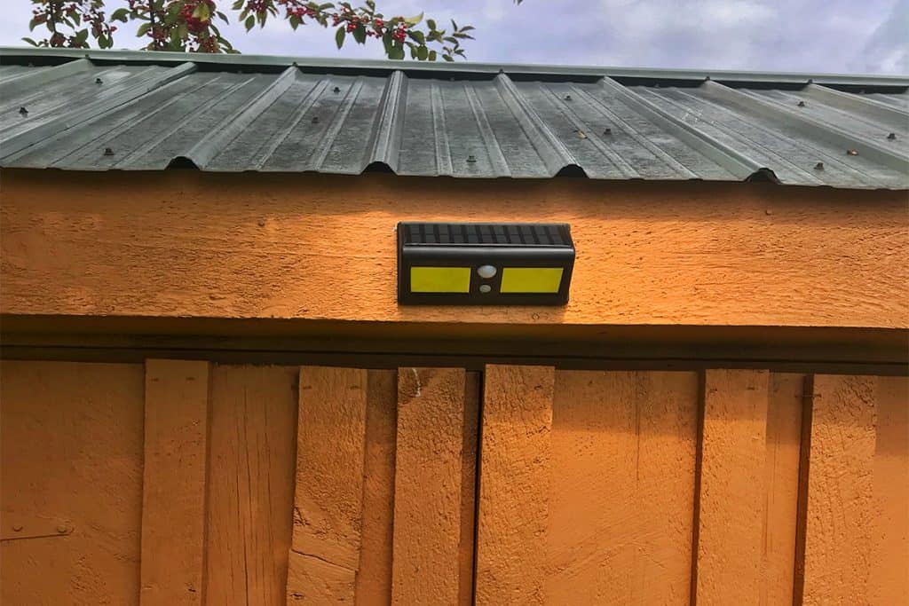 Will Lights Keep Coyotes Away? Pest Pointers