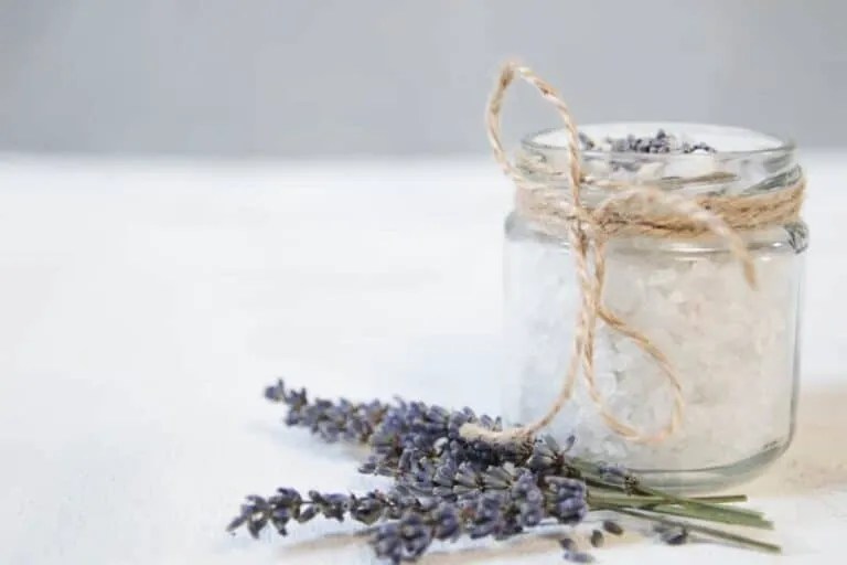 9 Simple Ways To Repel Cockroaches With Lavender Pest Pointers