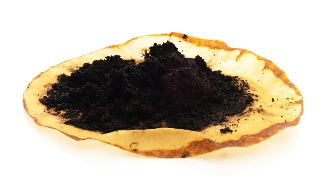 Coffee Grounds How To Use Them To Repel Gnats Pest Pointers