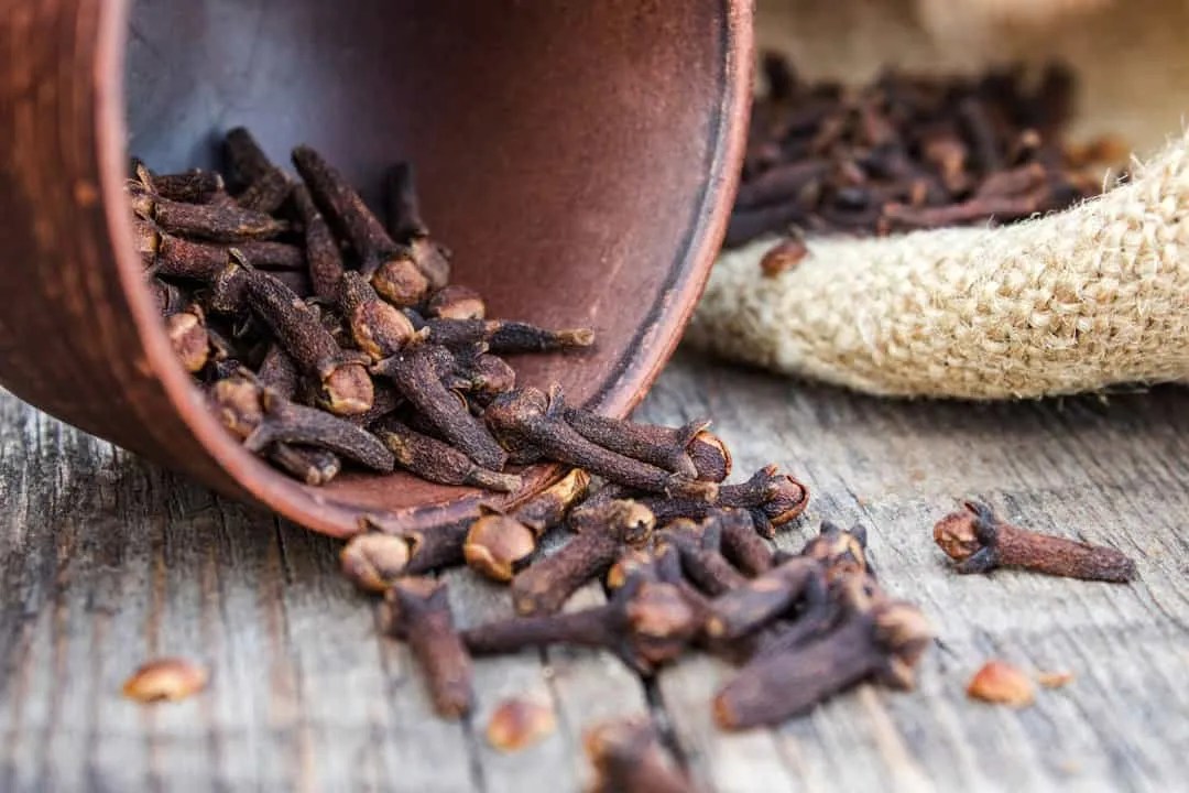 Cloves And Clove Oil: Why They Work To Repel Mice - Pest Pointers