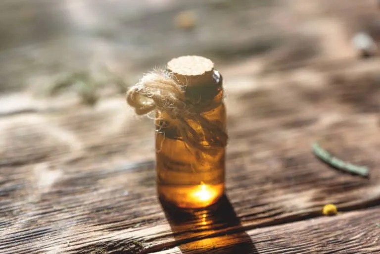 Here's How Citronella Oil Repels Mice (And Why!) Pest Pointers