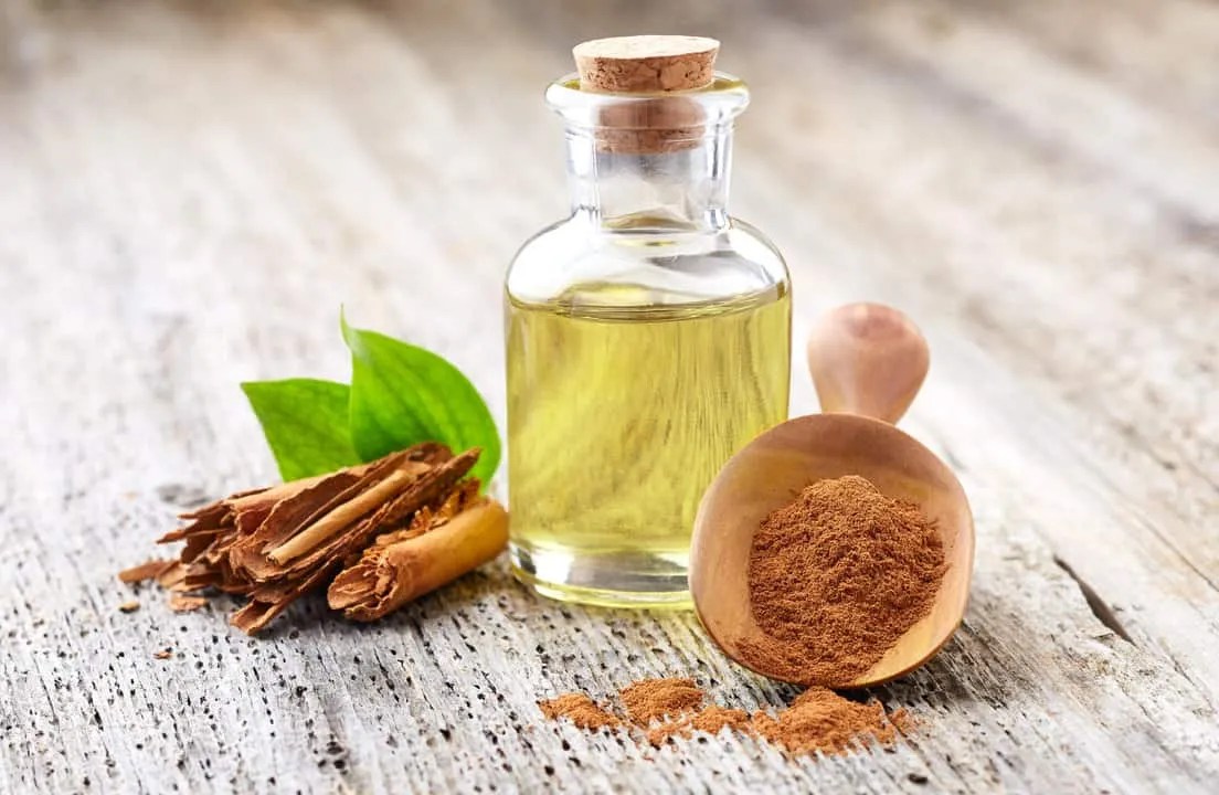Cinnamon Oil: How To Use It To Repel Mice From Your Car - Pest Pointers