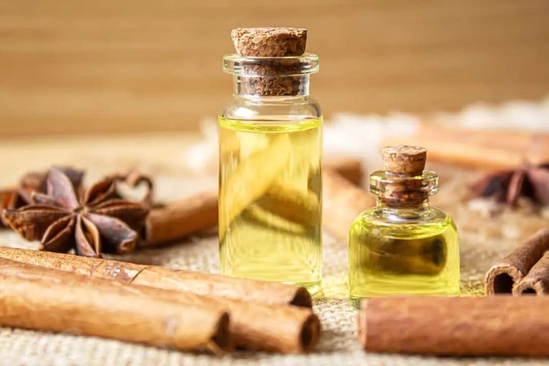 Using Cinnamon Oil To Repel Mice From Your Garage Pest Pointers