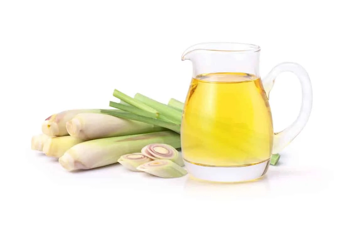 How To Use Citronella Oil To Repel Mice From Your Car Pest Pointers