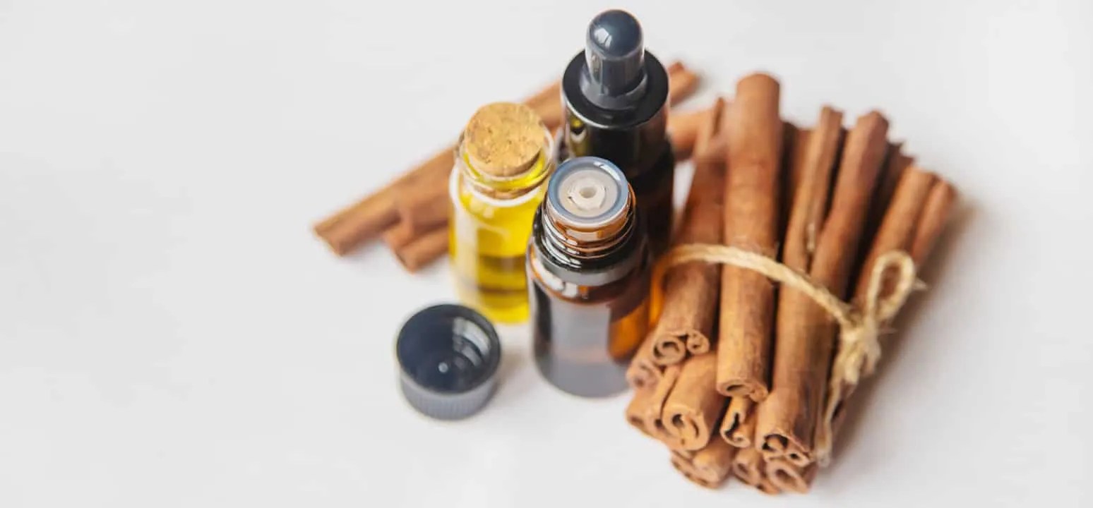How To Use Cinnamon Essential Oil To Keep Mice Away? - Pest Pointers