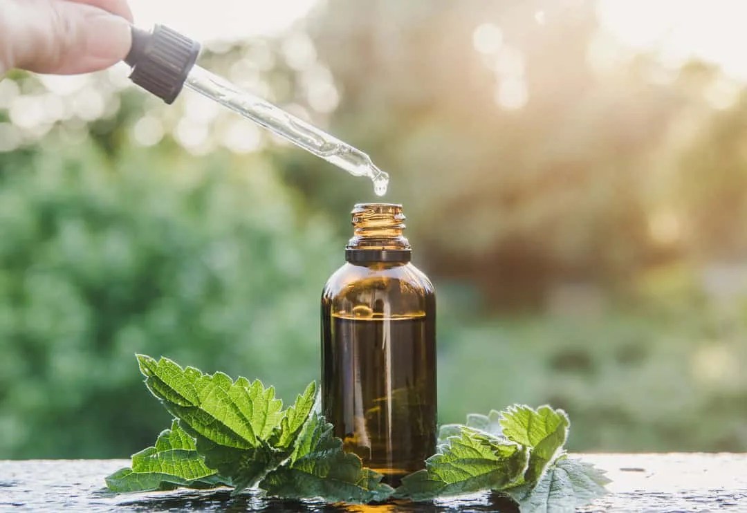 Peppermint Oil Here's How To Use It To Naturally Repel Mice Pest