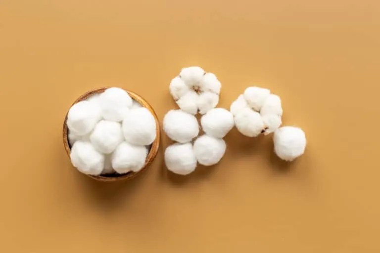 How To Keep Mice Away Using Malt Vinegar (And Why It Works) Pest Pointers