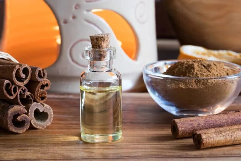 The Five Scents That Coyotes Hate (and how to use them) Pest Pointers