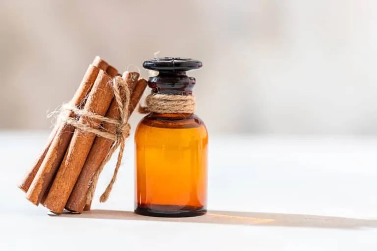 Cinnamon Why It Works To Keep Mice Away (And How!) Pest Pointers