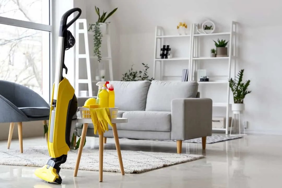 4 Easy Ways To Keep Your Living Room Clean And Keep Mice Out Pest