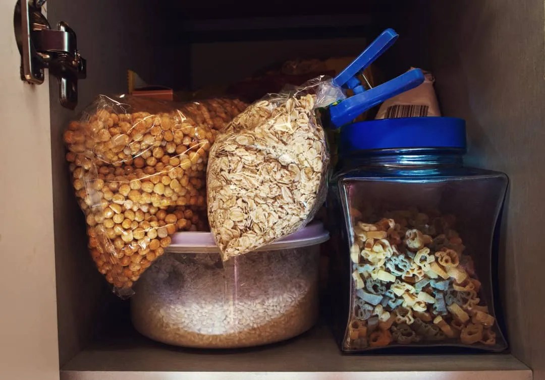 5 Reasons Why Leaving Leftover Food In Garages Attract Mice Pest Pointers