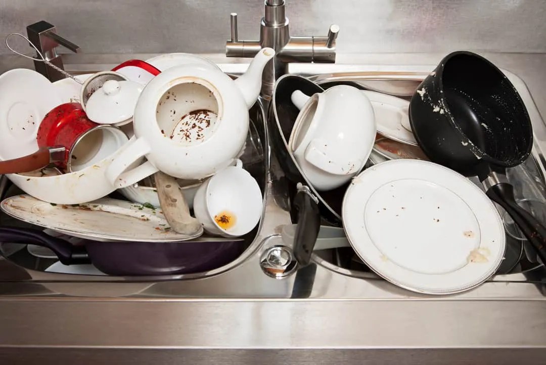 4 Easy Ways To Get Rid Of Mice In Your Kitchen Pest Pointers